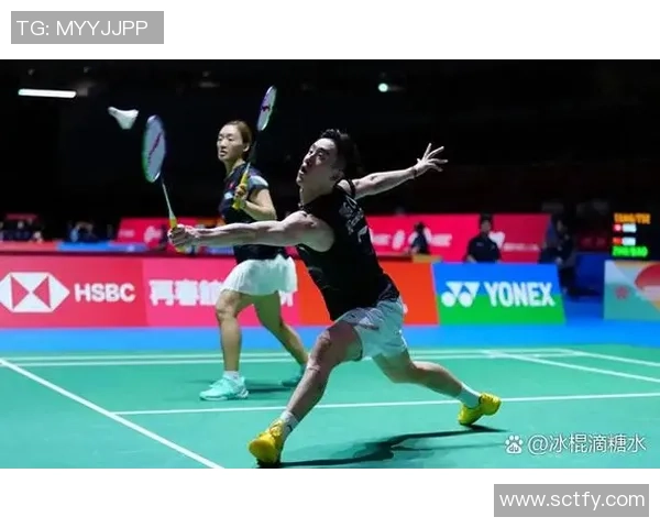 北京羽毛球队在新老交替中的挑战与机遇分析